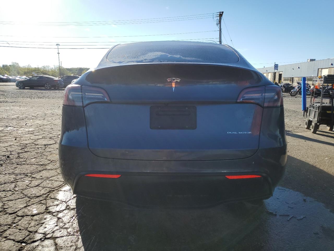 2023 Tesla Model Y VIN: 7SAYGDEE8PA128427 Lot: 84264955