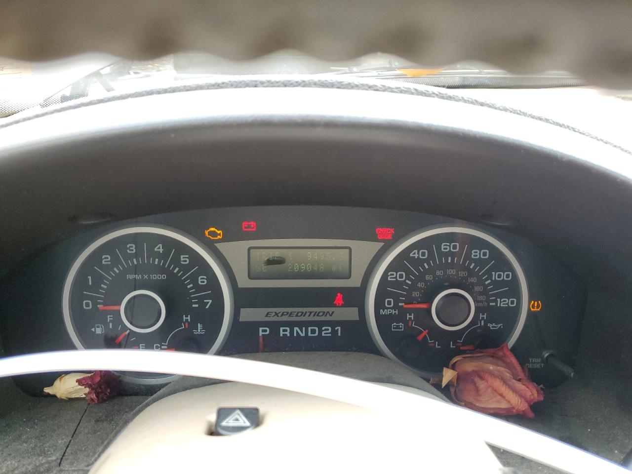 2005 Ford Expedition Eddie Bauer VIN: 1FMFU185X5LB02900 Lot: 85716405