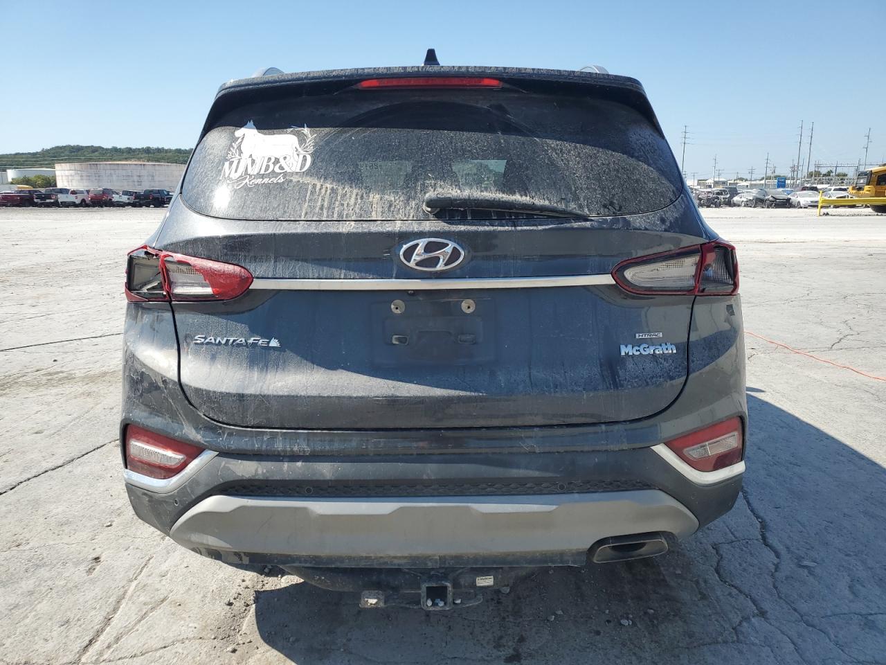 2020 Hyundai Santa Fe Sel VIN: 5NMS3CAD8LH253008 Lot: 86135945