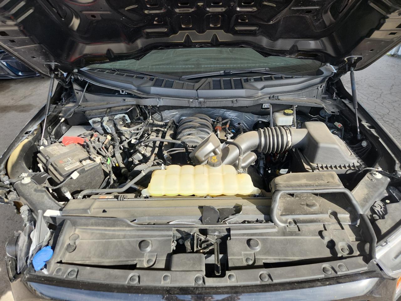 2021 Ford F150 Supercrew VIN: 1FTFW1E54MKF04967 Lot: 82007225