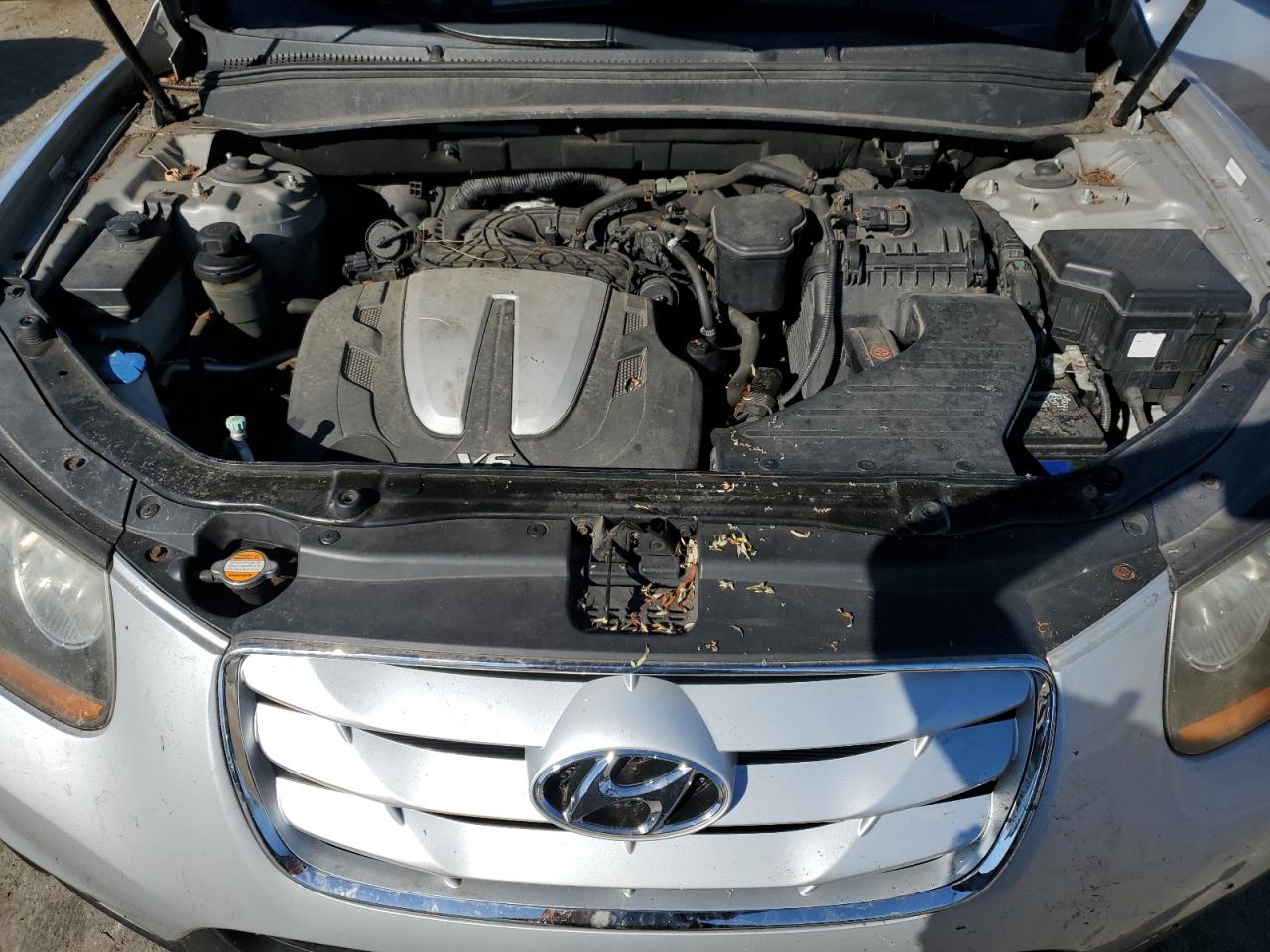 2010 Hyundai Santa Fe Limited VIN: 5NMSKDAG8AH347468 Lot: 84879655