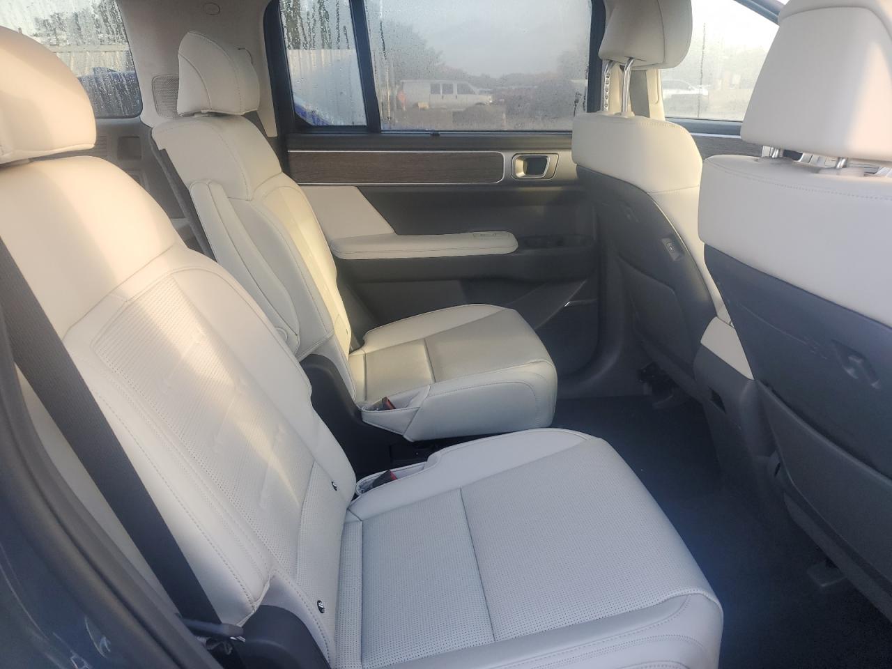 2025 Hyundai Santa Fe Calligraphy VIN: 5NMP5DGL1SH099079 Lot: 85328805