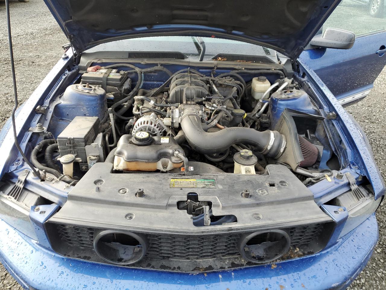 2007 Ford Mustang VIN: 1ZVHT80N075253902 Lot: 84063115