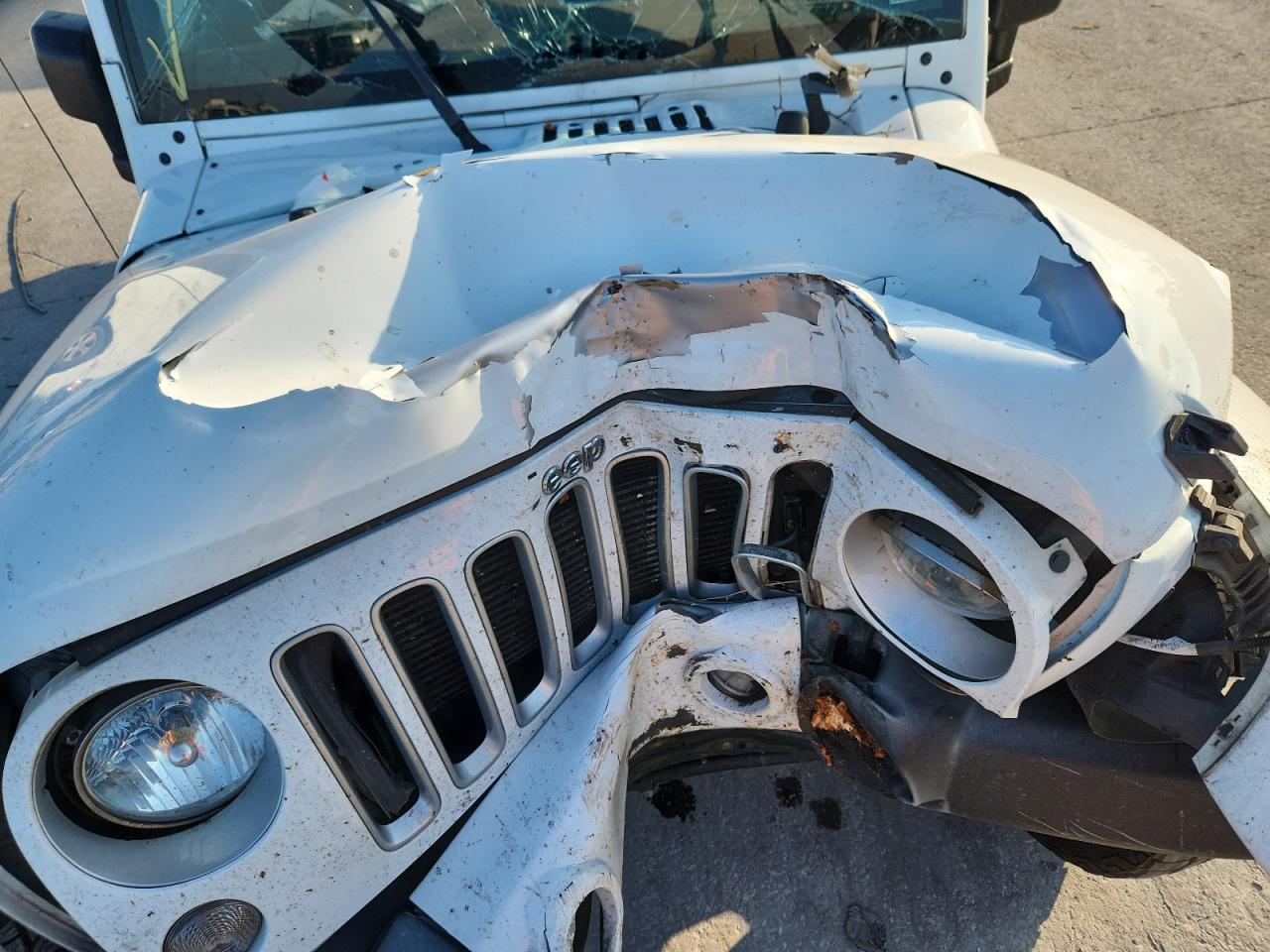 2016 Jeep Wrangler Unlimited Sahara VIN: 1C4BJWEG3GL251294 Lot: 81944005