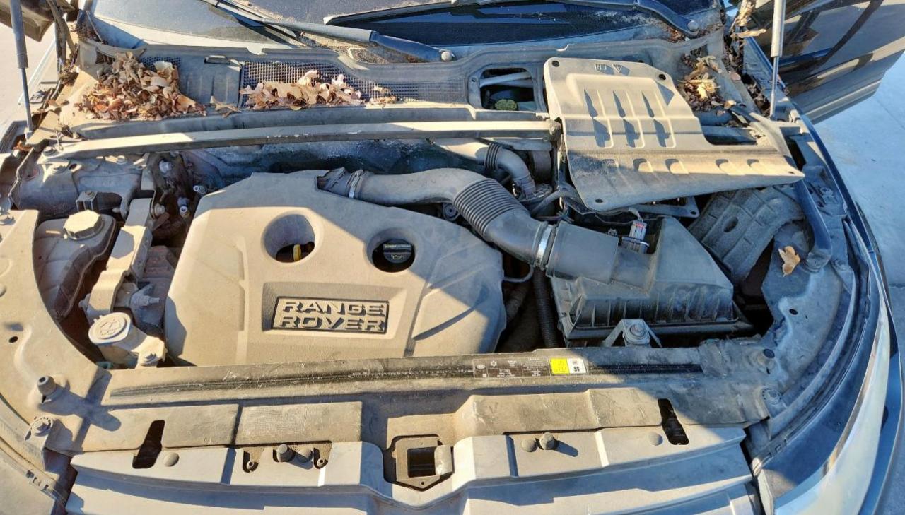 2013 Land Rover Range Rover Evoque Pure Plus VIN: SALVP2BG1DH786981 Lot: 85381805