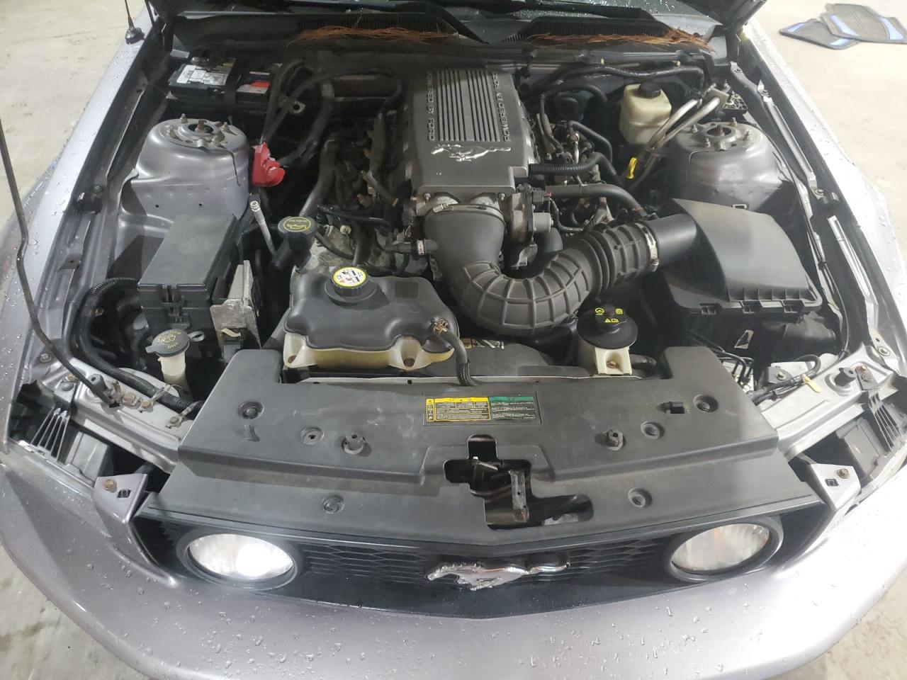 2007 Ford Mustang Gt VIN: 1ZVFT85H975311810 Lot: 85169615