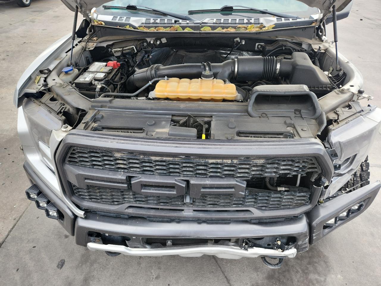 2017 Ford F150 Raptor VIN: 1FTFW1RG6HFB33210 Lot: 82737415