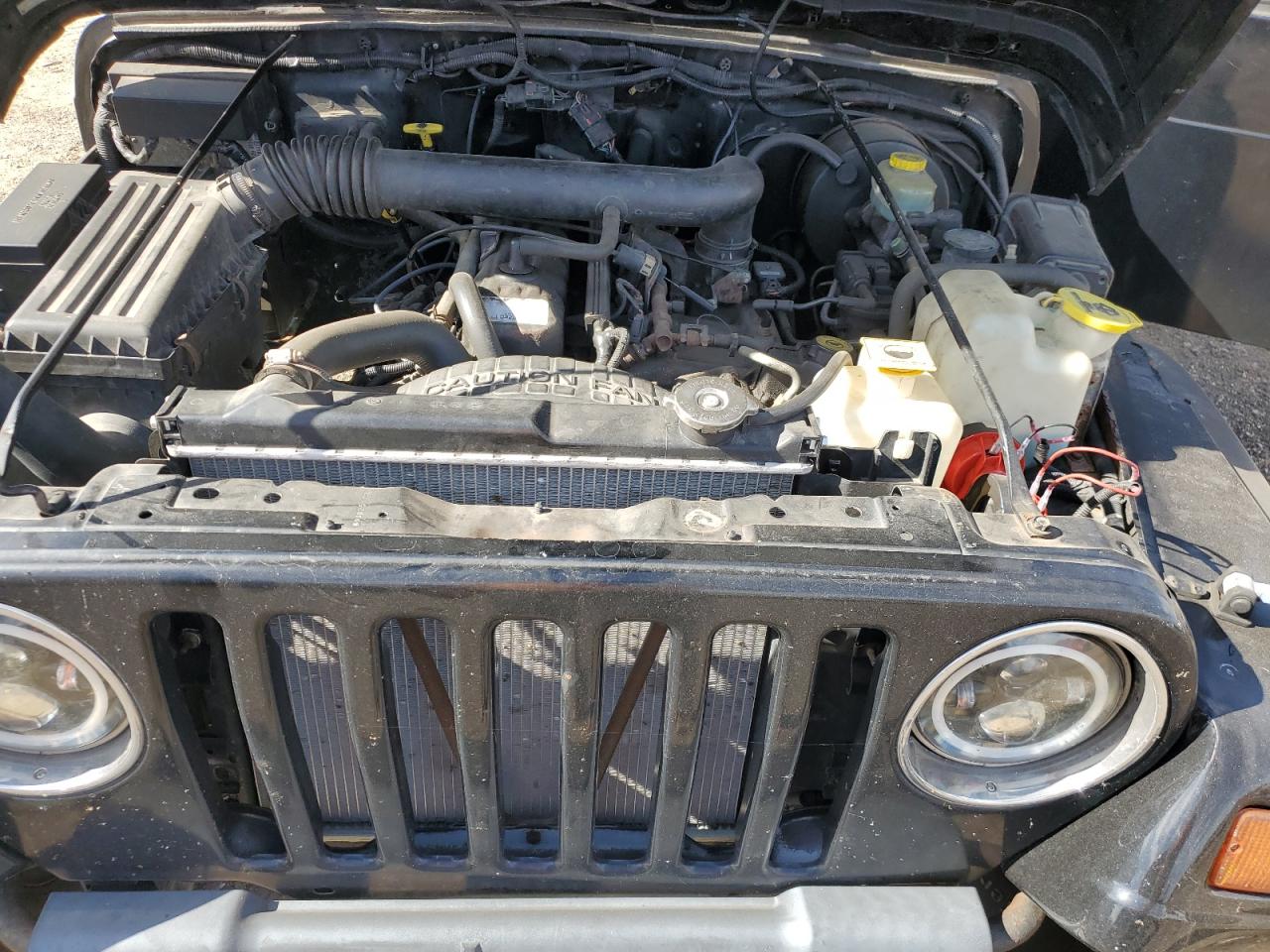 1998 Jeep Wrangler / Tj Sport VIN: 1J4FY19SXWP734488 Lot: 81896775