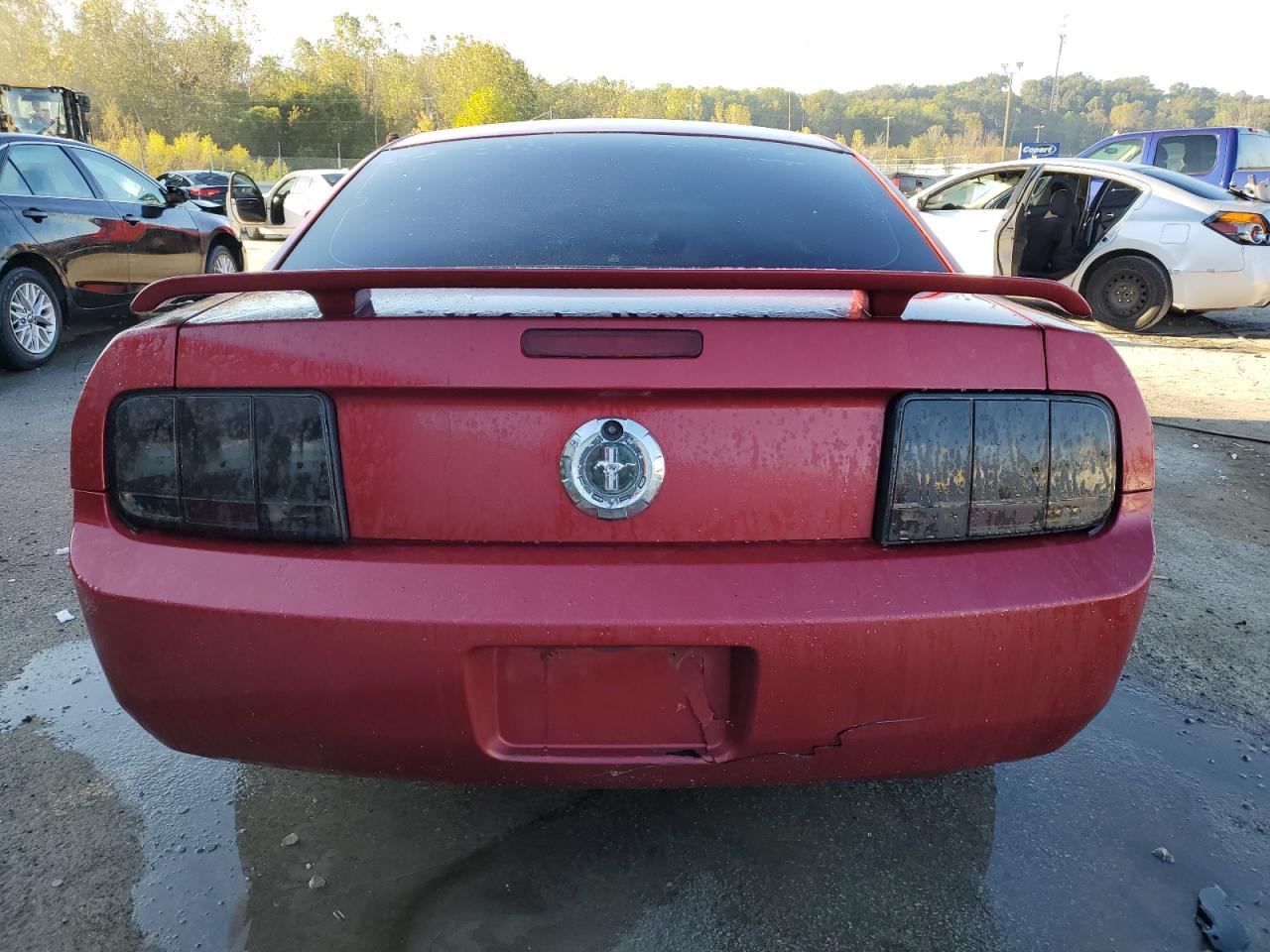 2006 Ford Mustang VIN: 1ZVFT80N065265974 Lot: 86673725