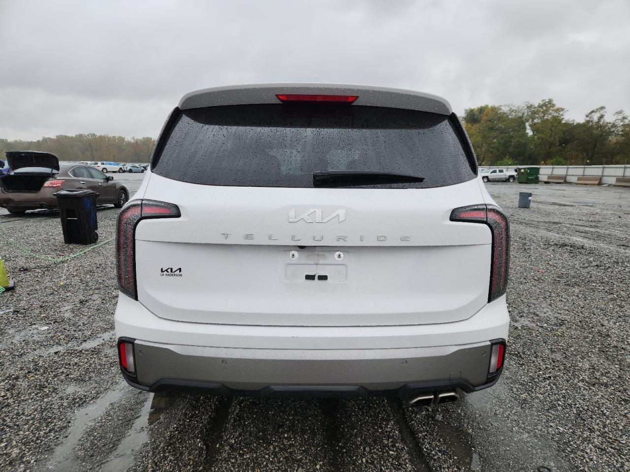 2025 Kia Telluride Ex VIN: 5XYP34GC2SG570320 Lot: 90302335