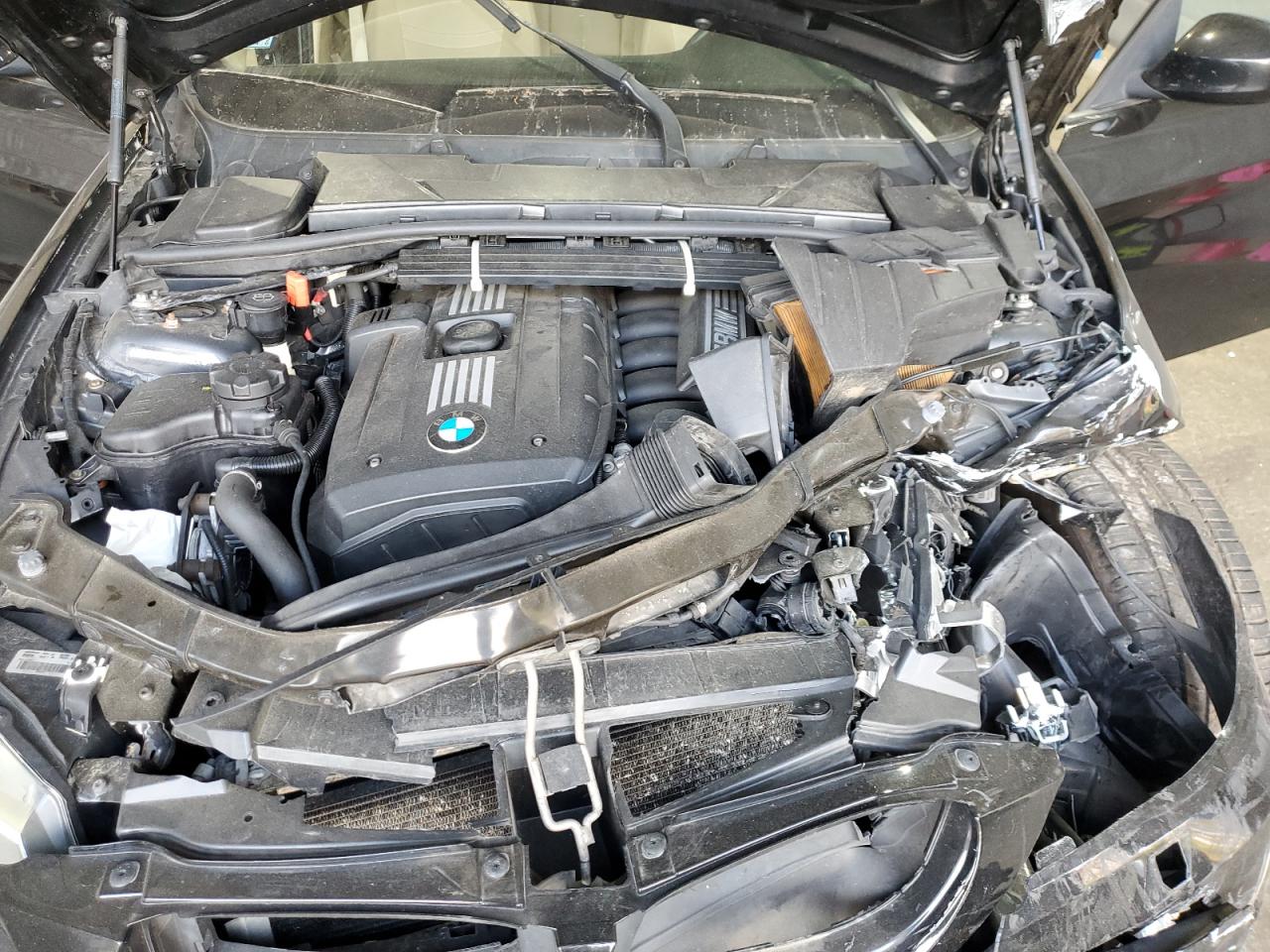 2010 BMW 328 Xi Sulev VIN: WBAPK5C53AA648504 Lot: 81884775