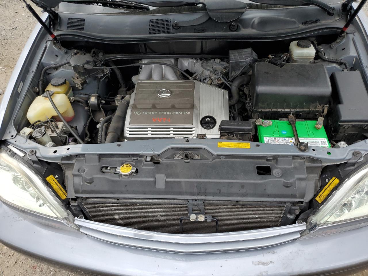 2001 Lexus Rx 300 VIN: JTJHF10U810189487 Lot: 82300065