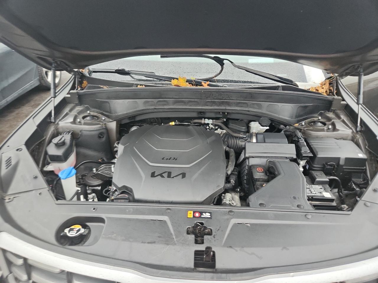 2024 Kia Telluride Sx VIN: 5XYP5DGC0RG556694 Lot: 90318485