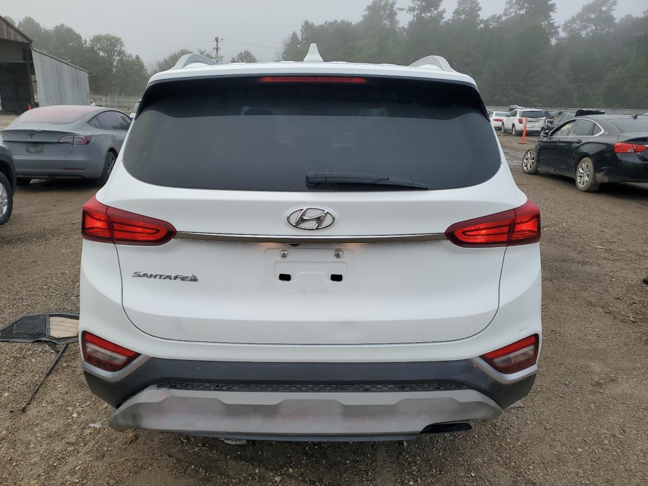2020 Hyundai Santa Fe Sel VIN: 5NMS33AD3LH281086 Lot: 85649225