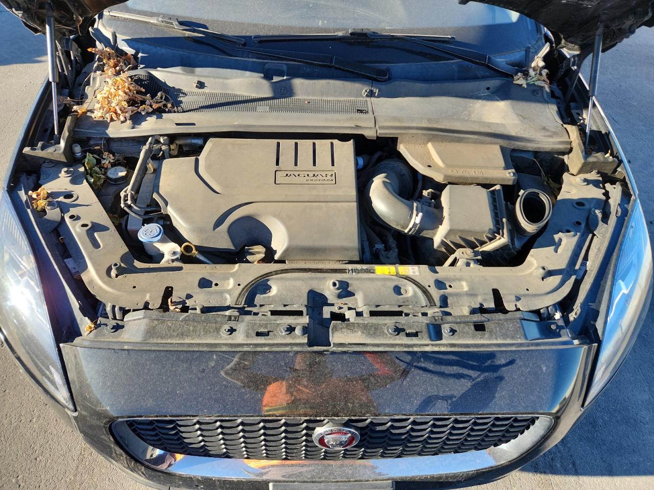 2020 Jaguar E-Pace Se VIN: SADFP2FX7L1015300 Lot: 87430925