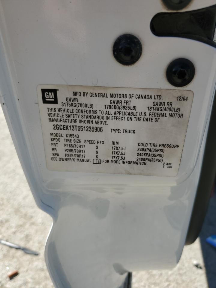 2005 Chevrolet Silverado K1500 VIN: 2GCEK13T551235906 Lot: 84962985