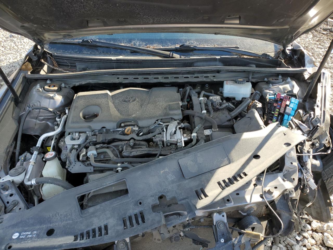 2019 Toyota Camry Hybrid VIN: 4T1B21HK4KU514116 Lot: 81096555