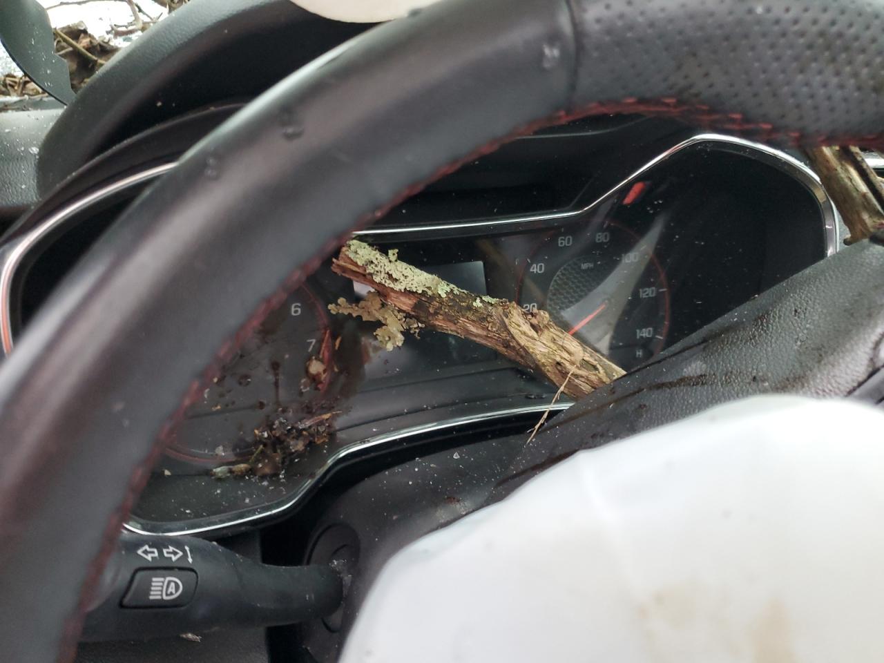 2023 Chevrolet Trailblazer Rs VIN: KL79MTSL8PB082978 Lot: 90075025