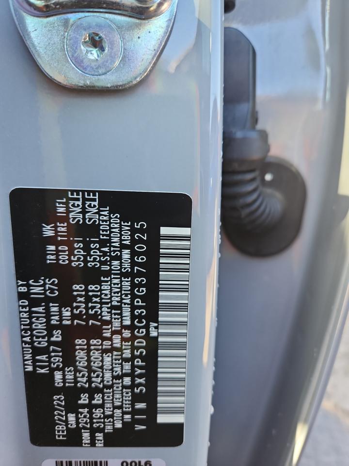 2023 Kia Telluride Sx VIN: 5XYP5DGC3PG376025 Lot: 84385785