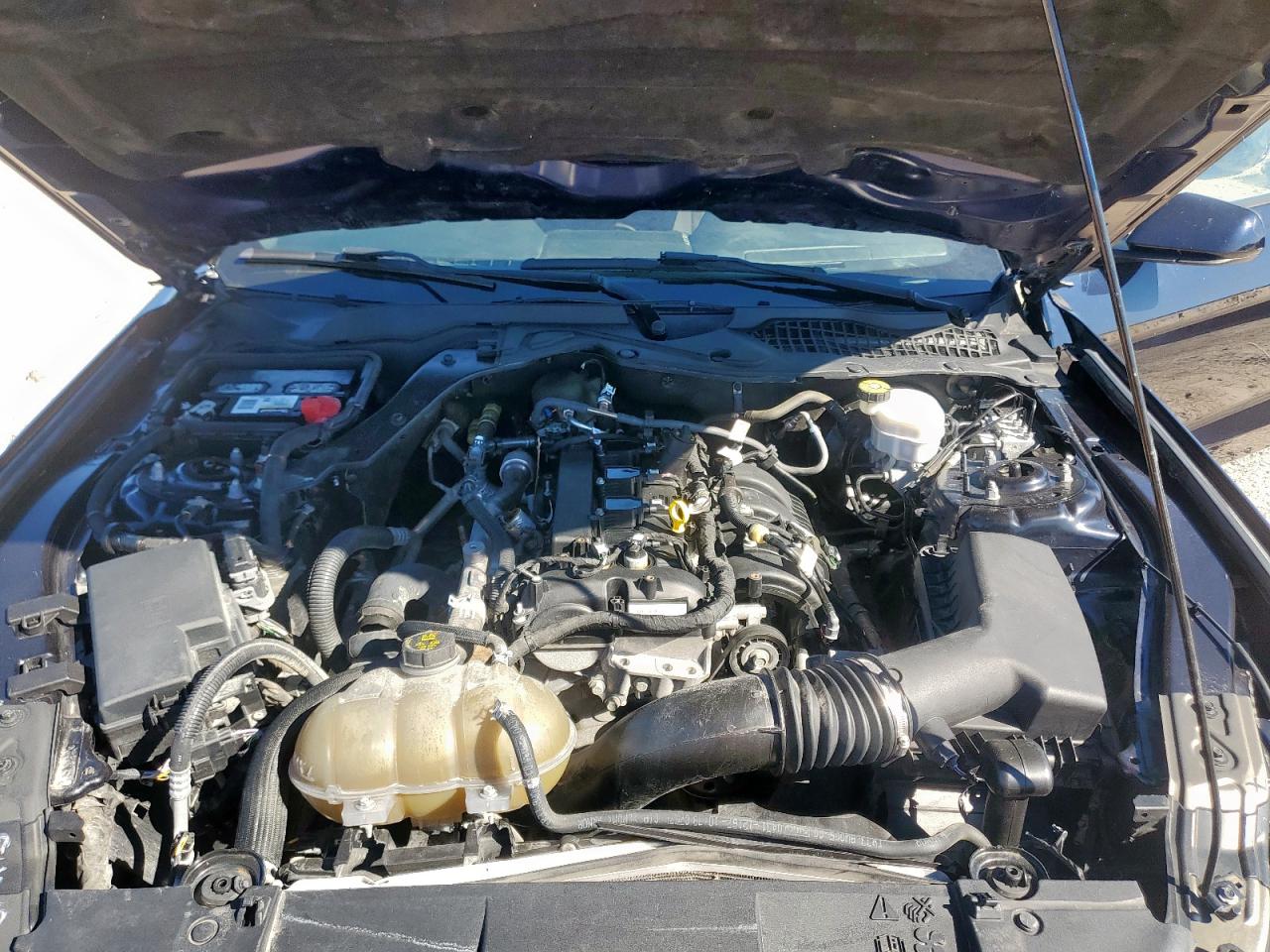 2021 Ford Mustang VIN: 1FA6P8TH8M5110069 Lot: 91000045