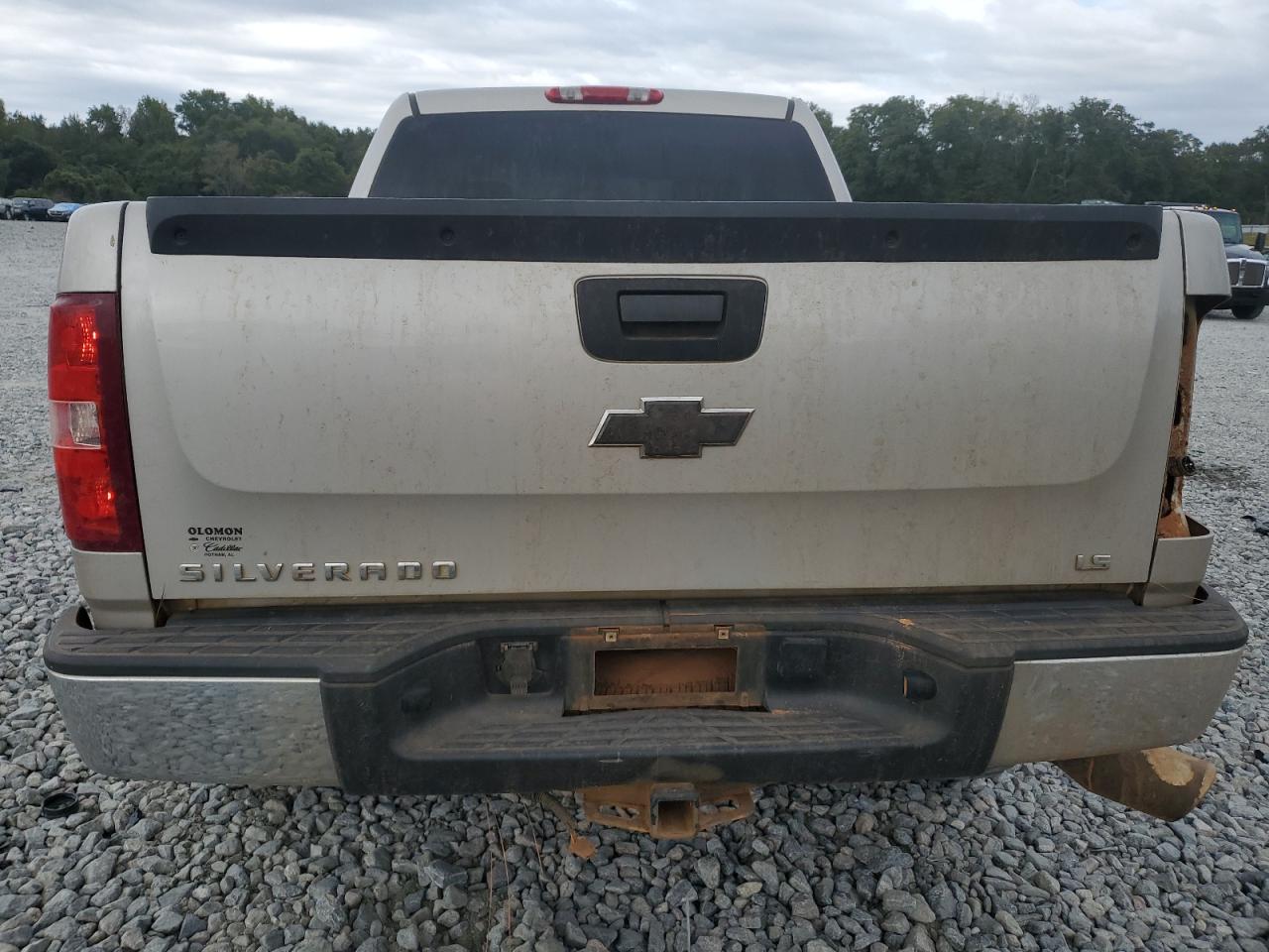 2009 Chevrolet Silverado C1500 VIN: 3GCEC13C39G116858 Lot: 86135085