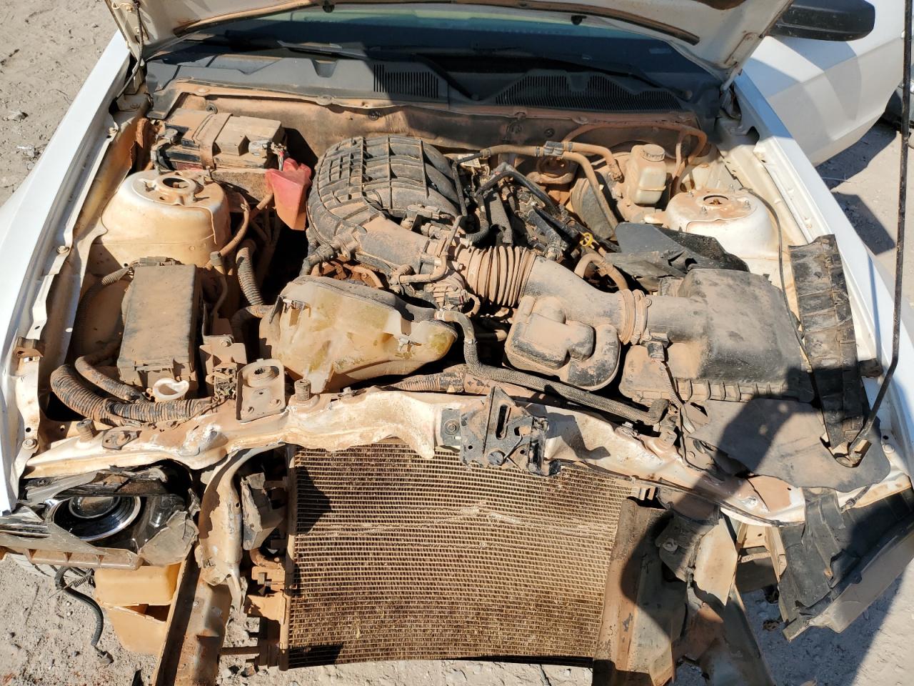 2014 Ford Mustang VIN: 1ZVBP8AM1E5328989 Lot: 81493635