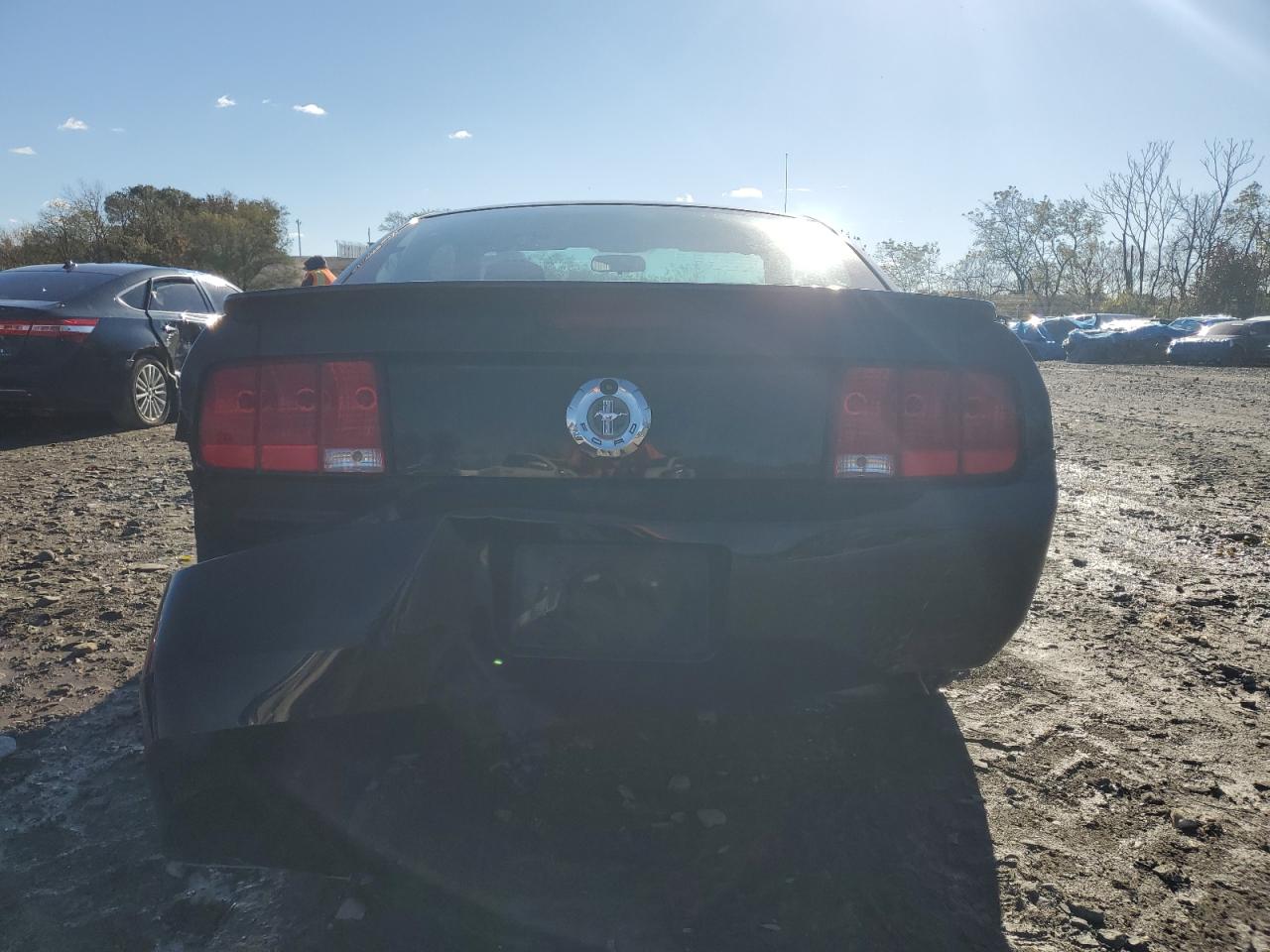 2007 Ford Mustang VIN: 1ZVFT80N175270991 Lot: 90658985