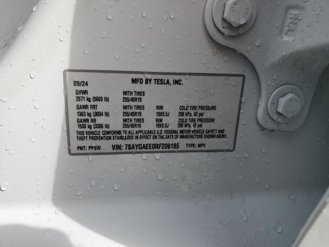 2024 Tesla Model Y VIN: 7SAYGAEE0RF206185 Lot: 90301435