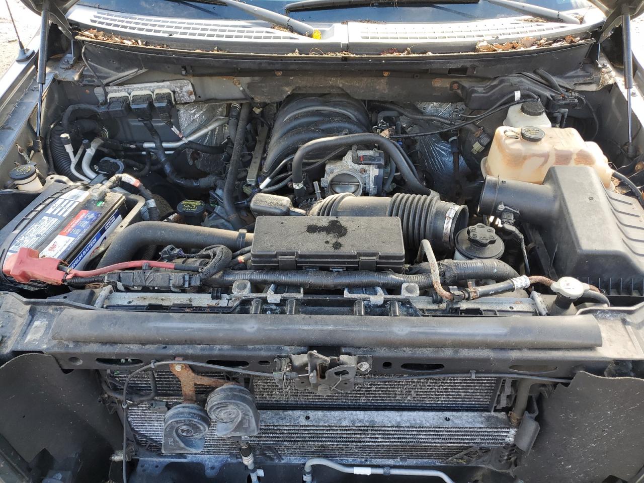2010 Ford F150 Super Cab VIN: 1FTEX1E81AKA19491 Lot: 82548185