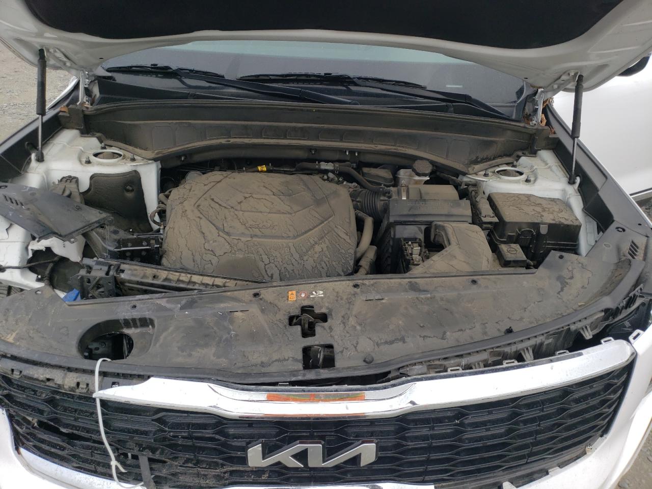 2022 Kia Telluride Lx VIN: 5XYP24HC3NG305816 Lot: 81973535