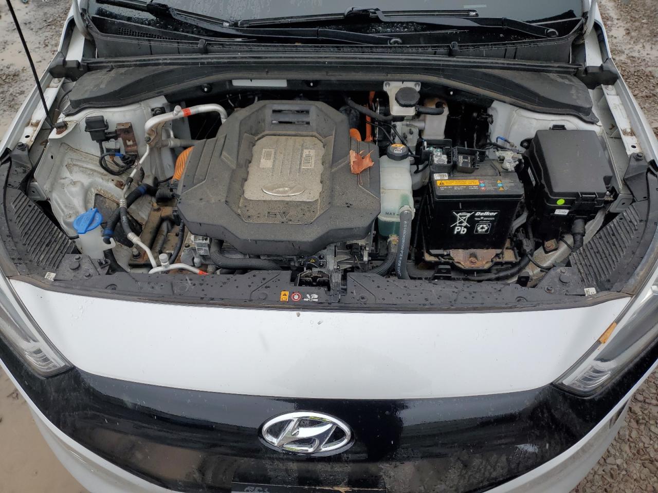 2019 Hyundai Ioniq VIN: KMHC75LH6KU046513 Lot: 82391305