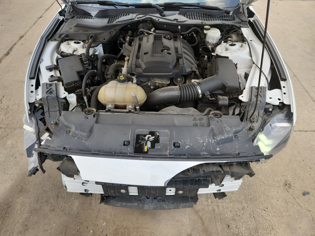 2019 Ford Mustang VIN: 1FA6P8TH8K5201534 Lot: 89562145