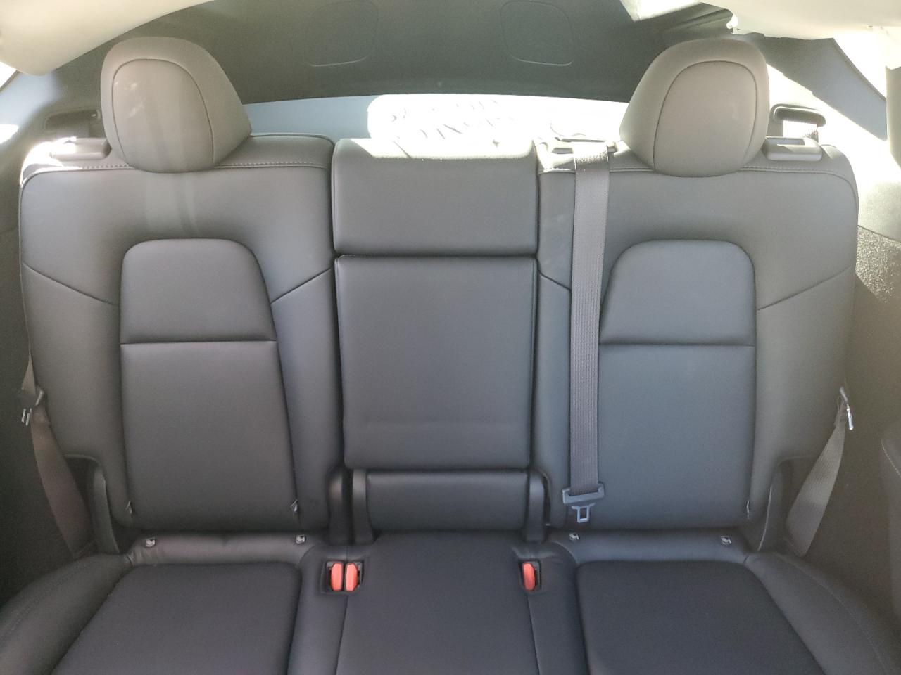 2024 Tesla Model Y VIN: 7SAYGDEE3RA333172 Lot: 82583275