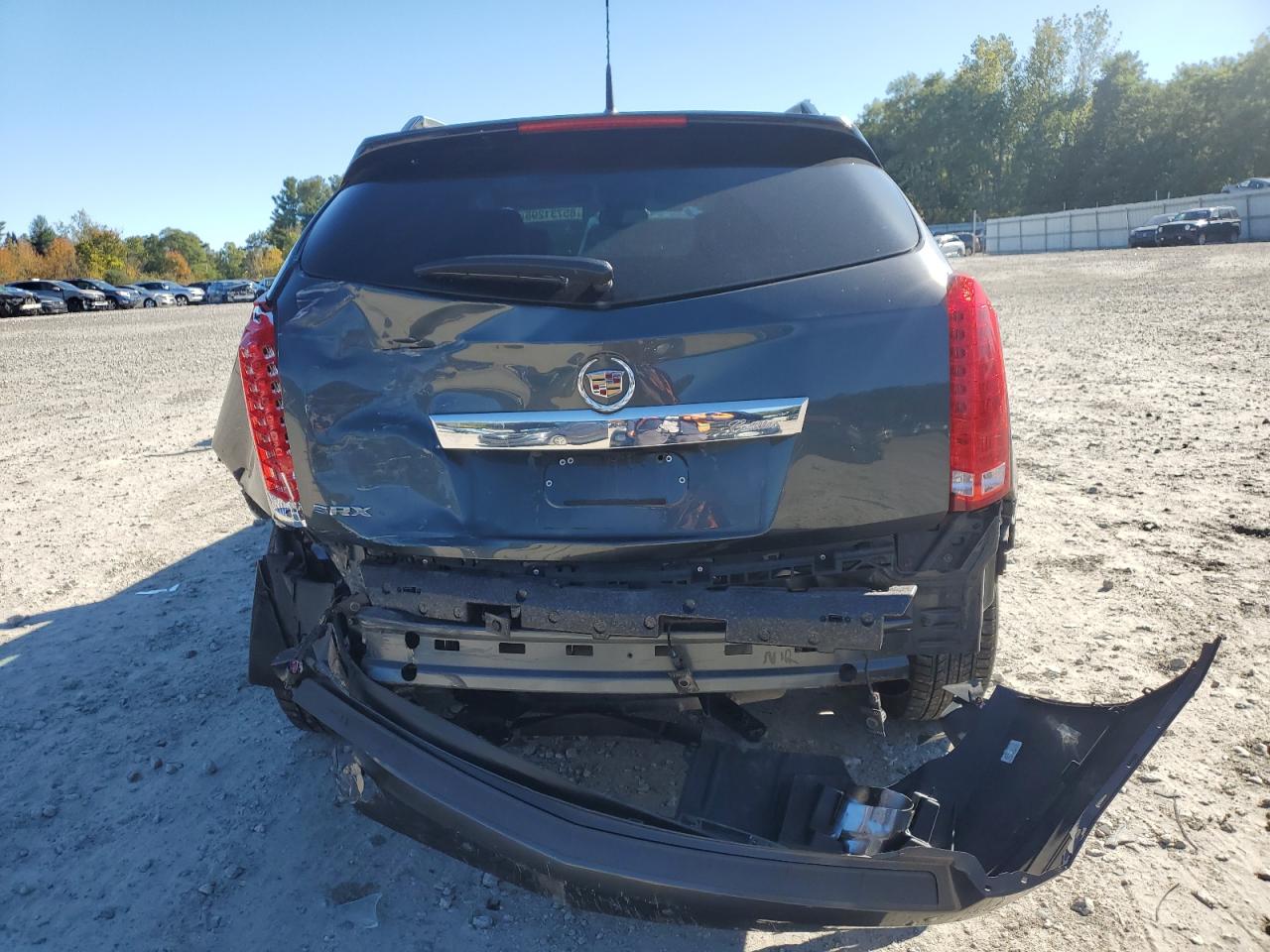 2010 Cadillac Srx Luxury Collection VIN: 3GYFNAEY9AS620429 Lot: 85731295