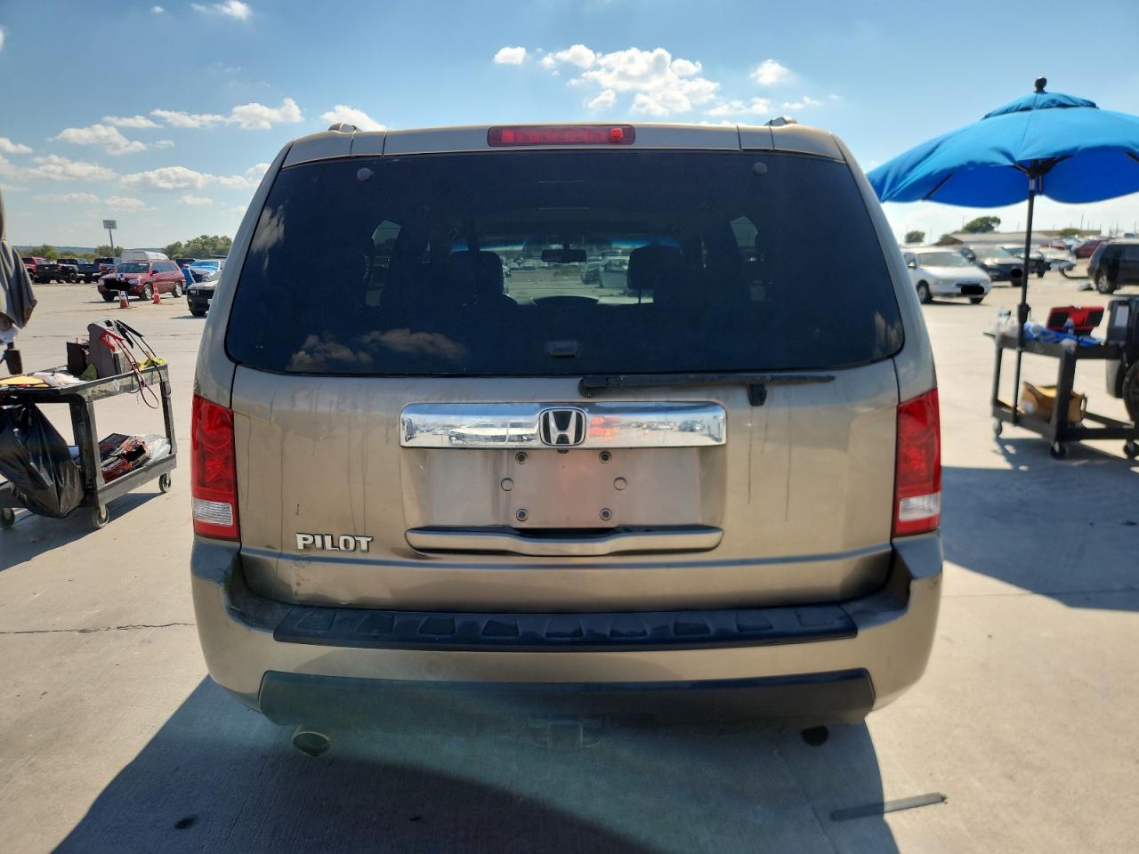 2009 Honda Pilot Exl VIN: 5FNYF38529B012507 Lot: 87243345