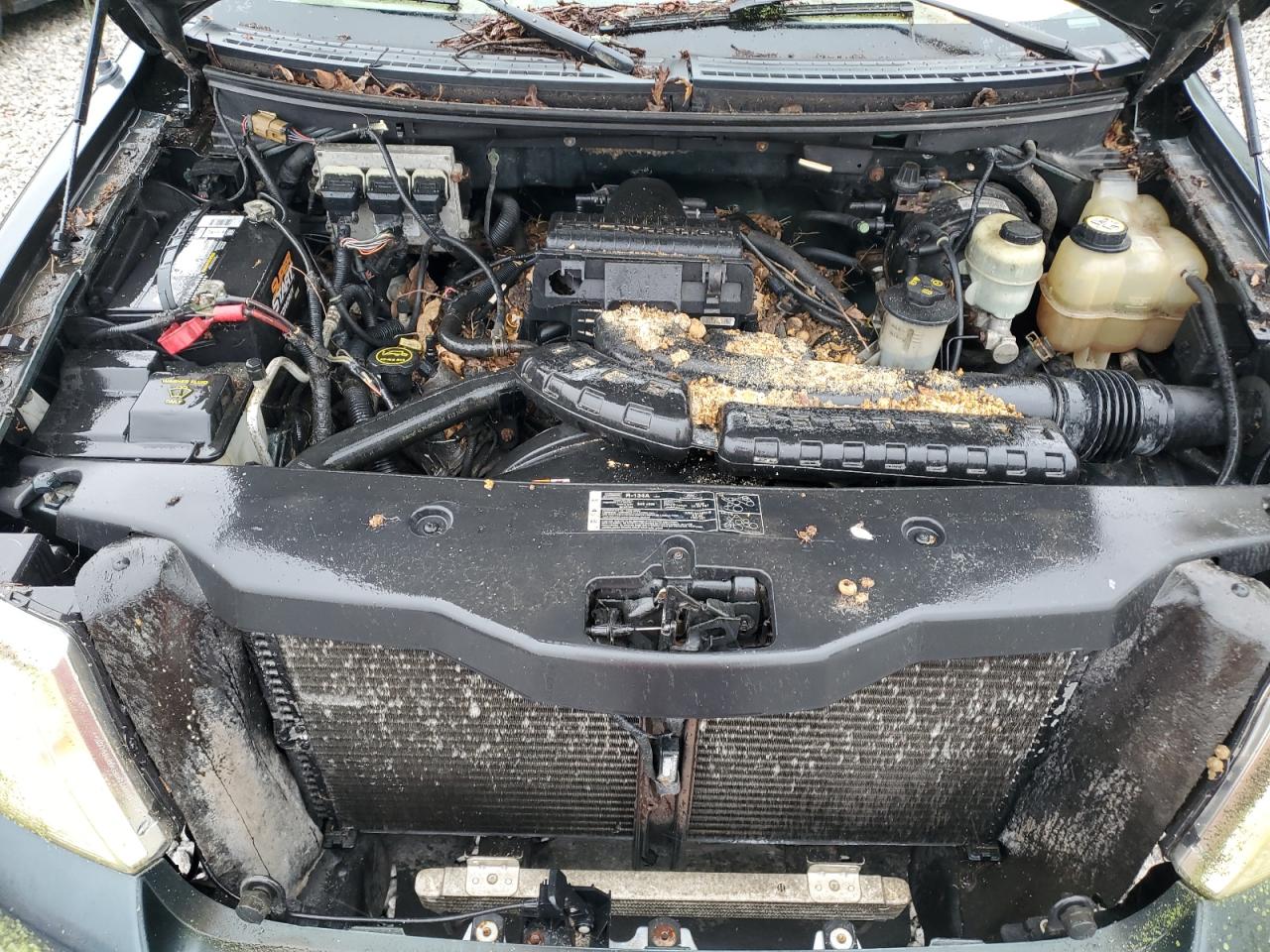 2005 Ford F150 VIN: 1FTPX14595NB51838 Lot: 84755935