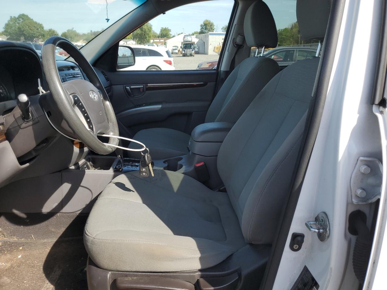 2010 Hyundai Santa Fe Gls VIN: 5NMSGDAB4AH413763 Lot: 85185055