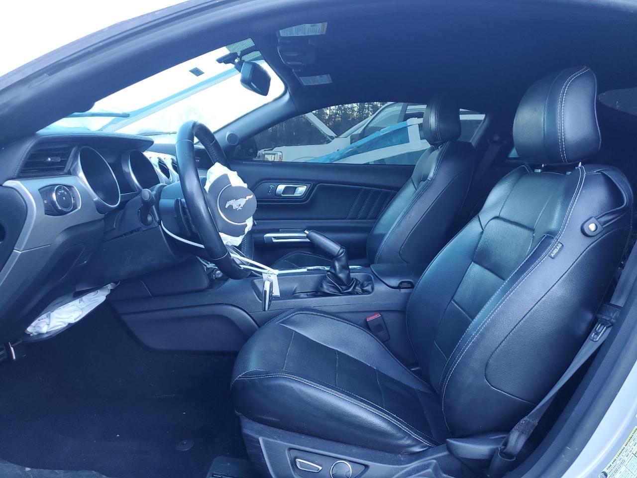 2019 Ford Mustang VIN: 1FA6P8THXK5172554 Lot: 82207165