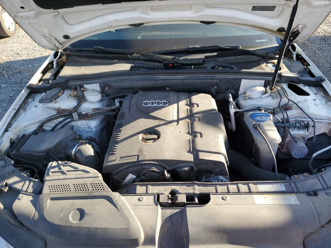 2015 Audi A4 Premium VIN: WAUAFAFL1FN031843 Lot: 89930715