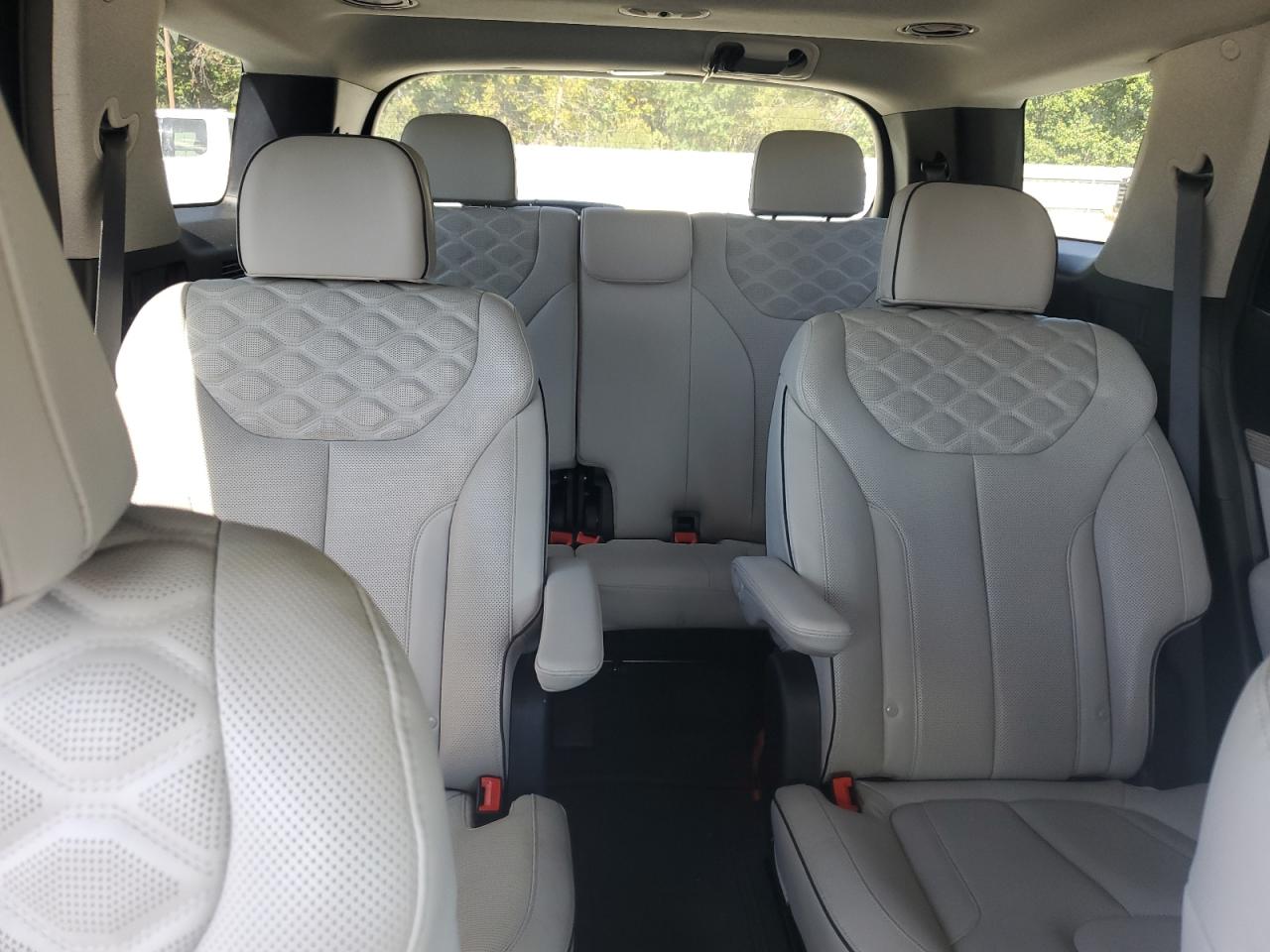 2022 Hyundai Palisade Limited VIN: KM8R5DHEXNU473559 Lot: 86665925