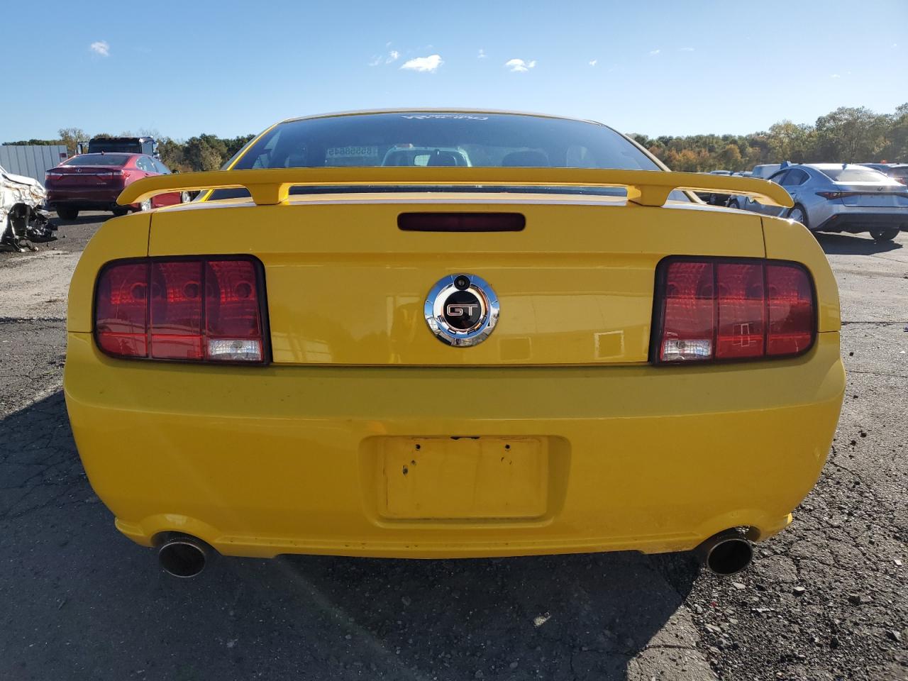 2006 Ford Mustang Gt VIN: 1ZVHT82H065248026 Lot: 85558645