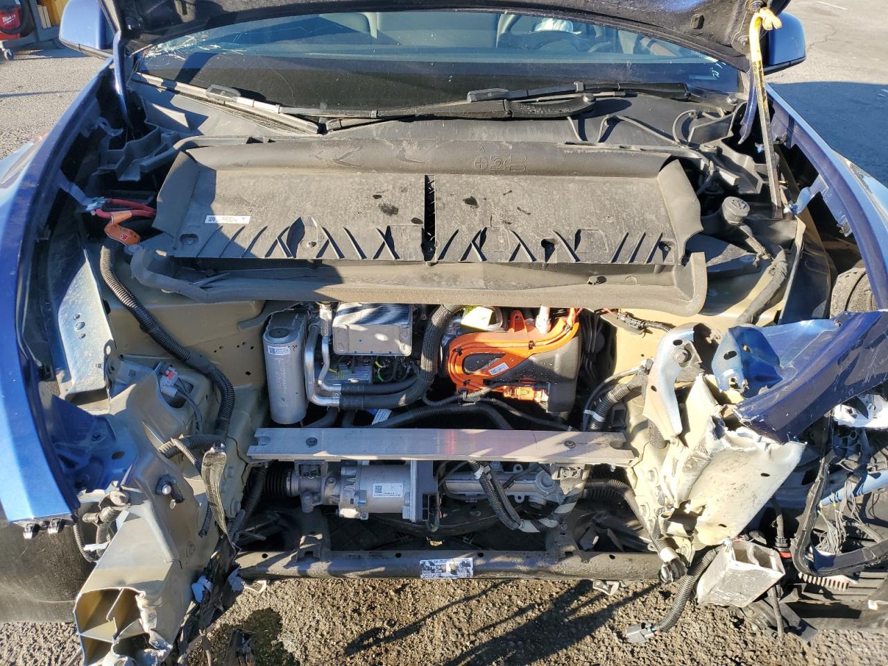 2024 Tesla Model Y VIN: 7SAYGDED2RF197207 Lot: 86707025