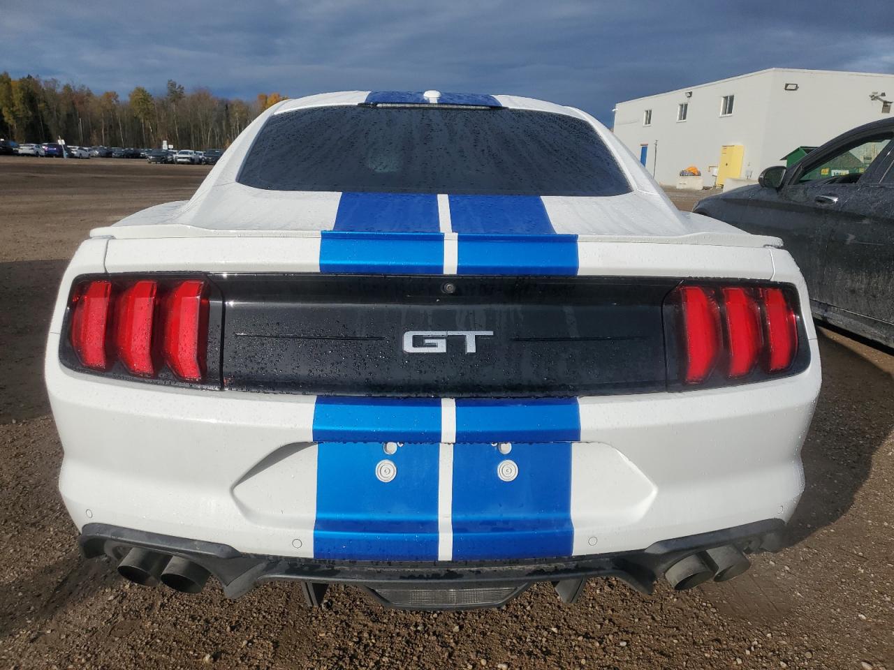 2019 Ford Mustang Gt VIN: 1FA6P8CF2K5162907 Lot: 85764305