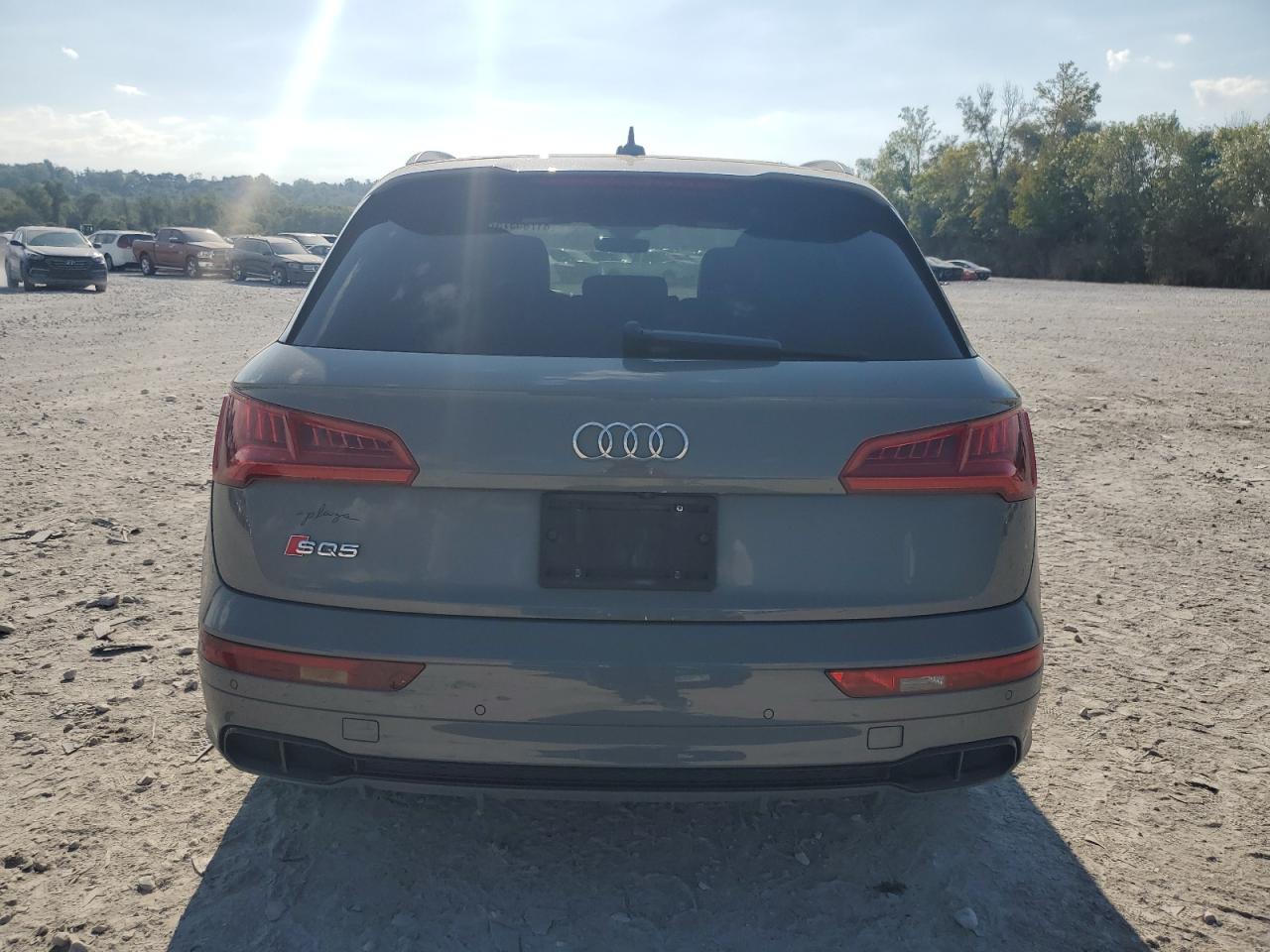 2019 Audi Sq5 Premium Plus VIN: WA1B4AFY0K2006821 Lot: 81785375