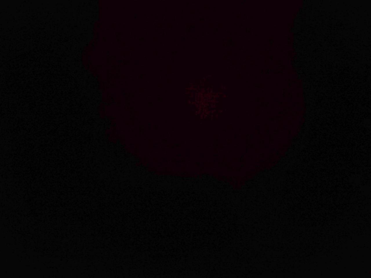 2007 Chevrolet Cobalt Ss Supercharged VIN: 1G1AP15PX77341945 Lot: 90707625