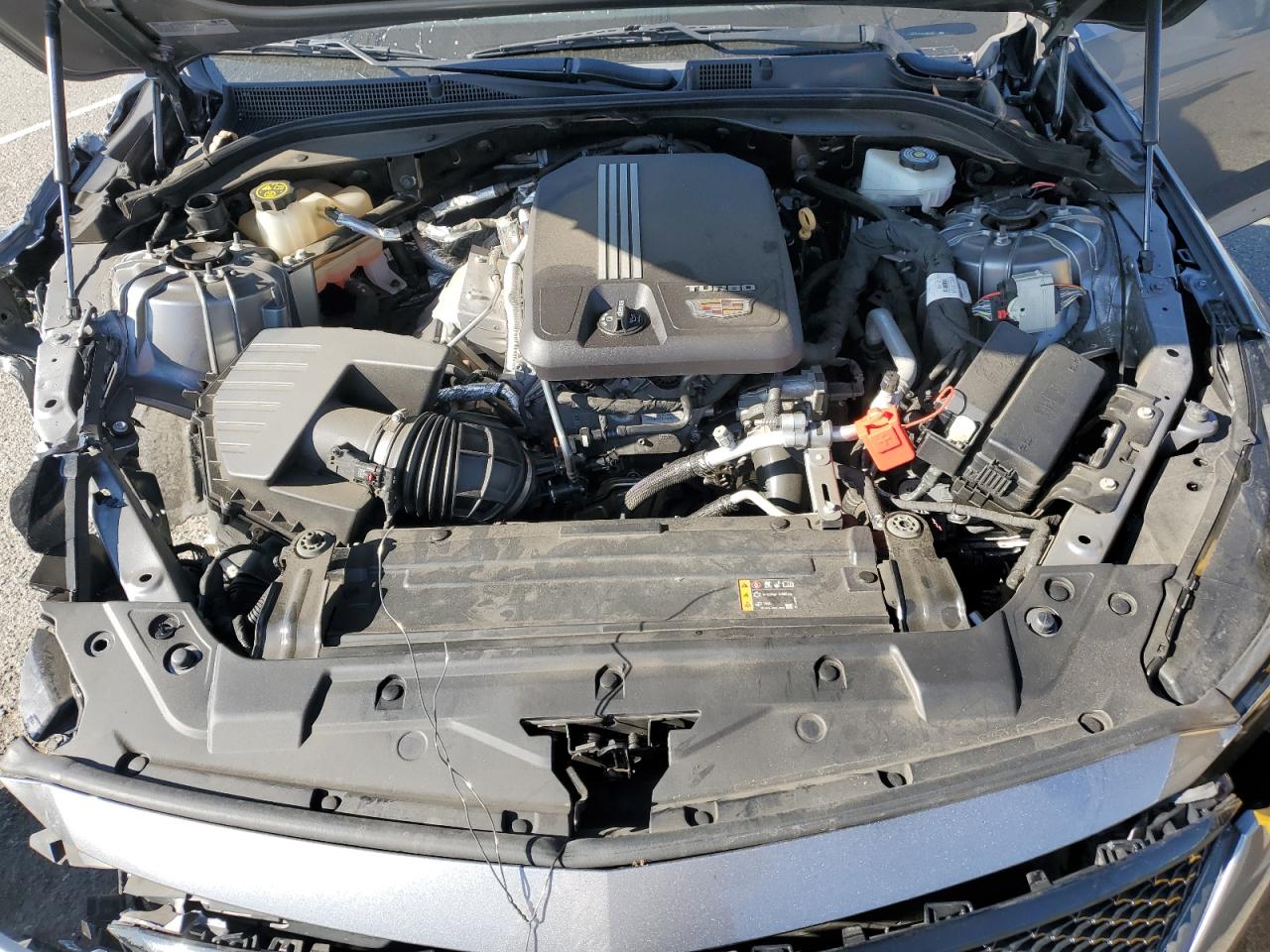 2021 Cadillac Ct5 Sport VIN: 1G6DP5RK4M0119189 Lot: 81975665