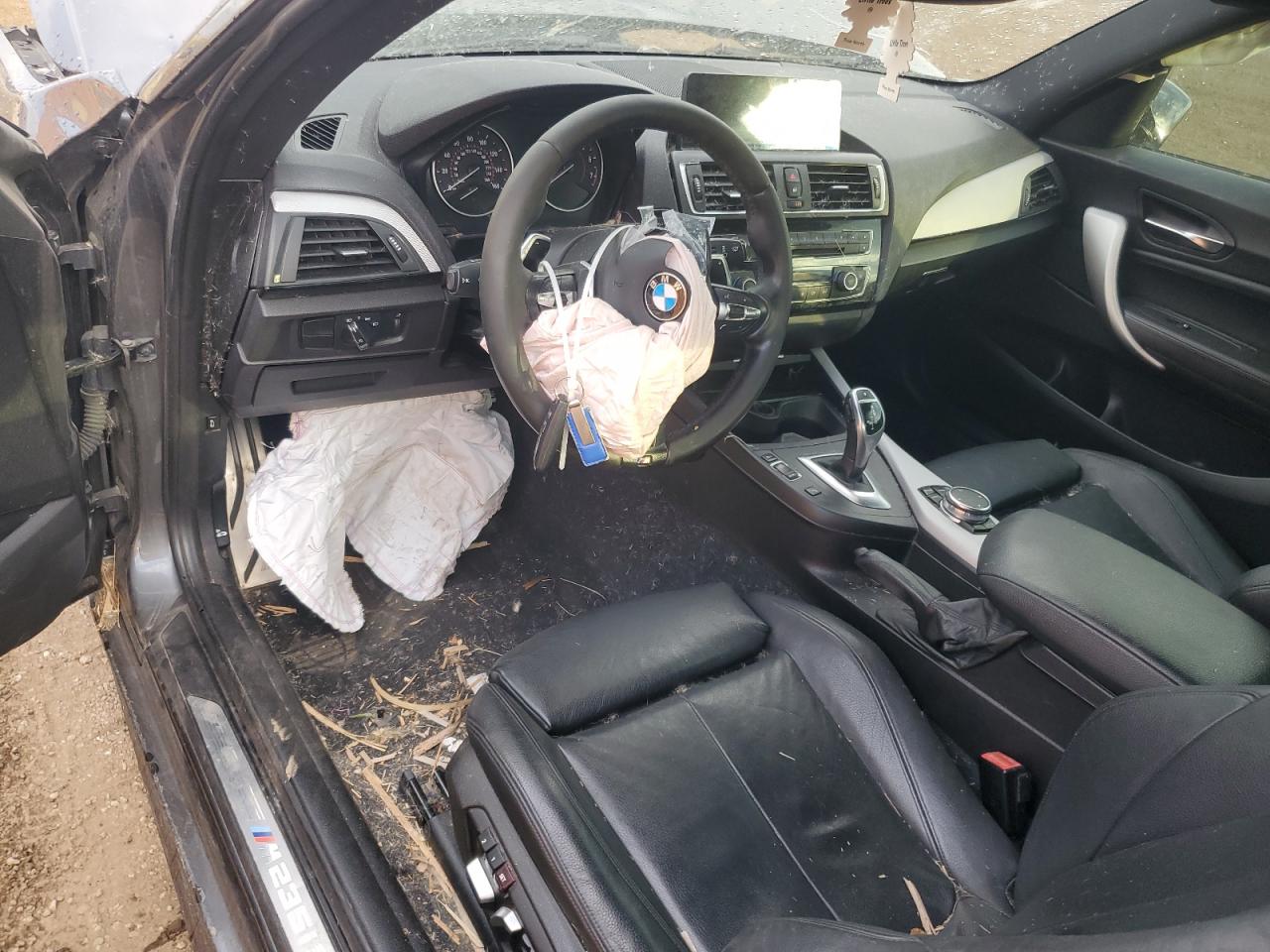 2016 BMW M235Xi VIN: WBA1J9C53GV696599 Lot: 85479385