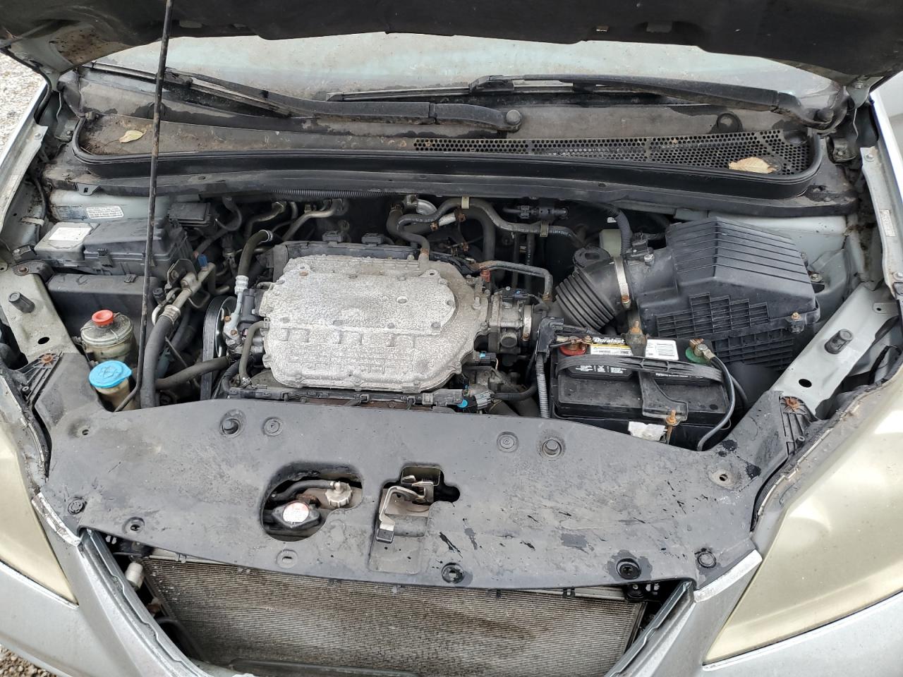 2007 Honda Odyssey Exl VIN: 5FNRL387X7B141770 Lot: 90493115