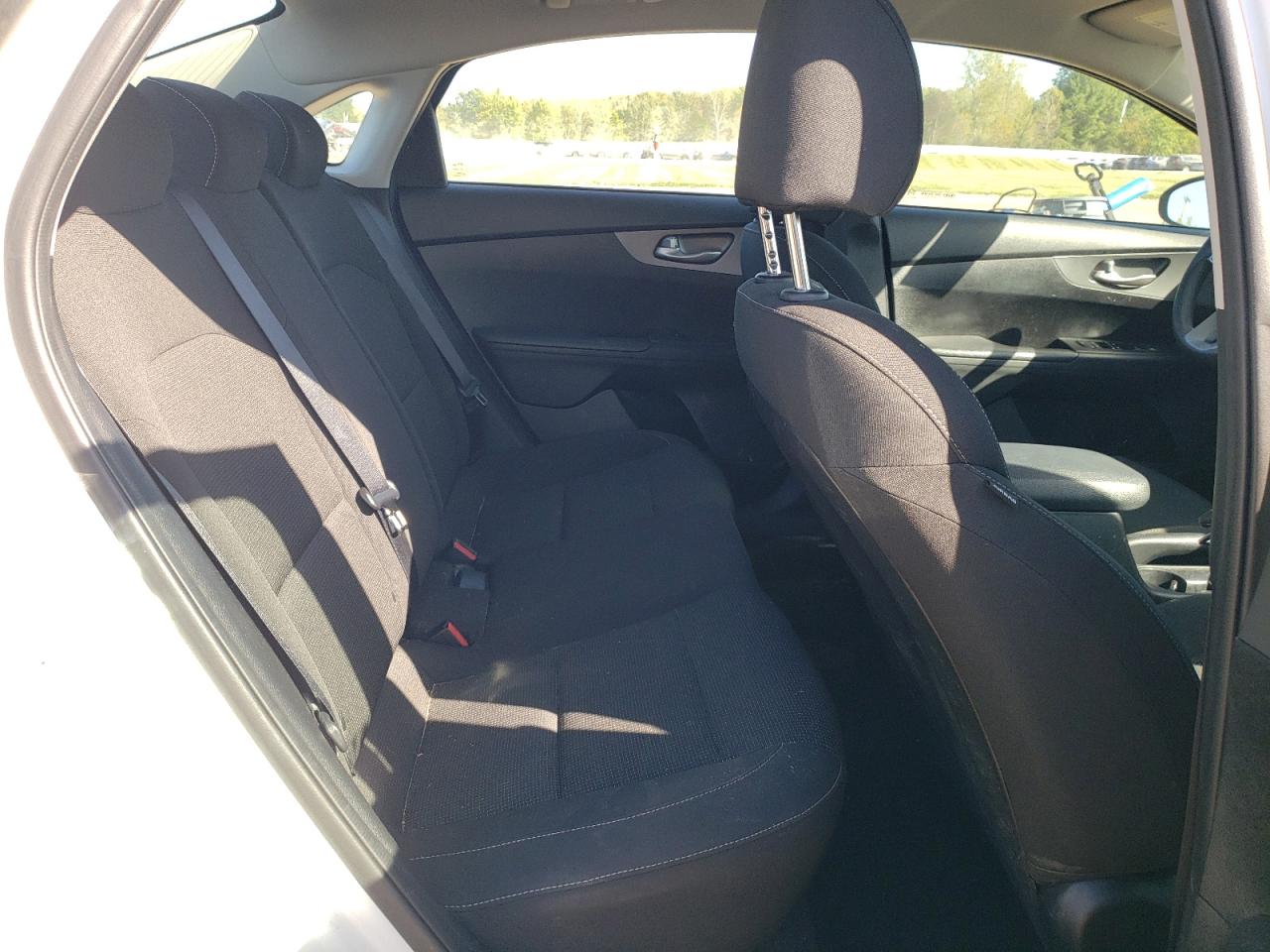 2020 Kia Forte Fe VIN: 3KPF24AD1LE189217 Lot: 82224045