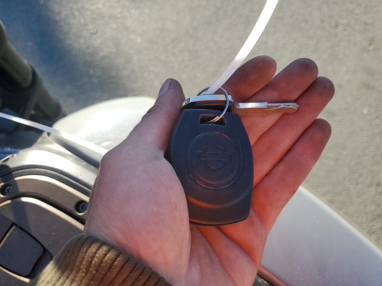 2024 Harley-Davidson Rh1250 S VIN: 1HD1ZC417RB307101 Lot: 82481985